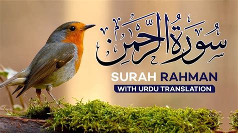 Surah Rahman With Urdu Translation Full Episode 100 Quran Tilawat