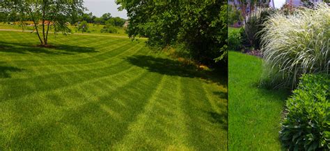 We did not find results for: New Lawn Installation and Sodding in Loudoun ...