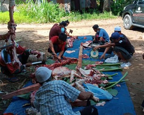 Balai polis kota marudu, 89100 kota marudu, sabah, malaisia aadress. Pejabat Pendidikan Daerah Kota Kinabalu - Saluran ...