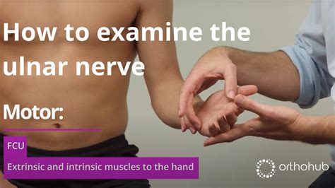 How To Examine The Ulnar Nerve Watch Orthohub Examinations With Uk