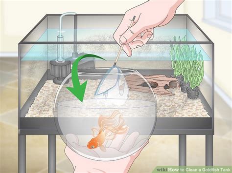 How To Clean A Goldfish Tank 14 Steps With Pictures Wikihow