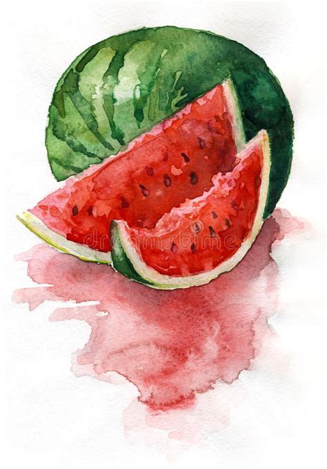 Photo About Watercolor Painting Still Life Sliced Watermelon