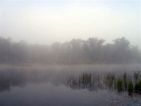 Foggy Lake 9 By Bvicius On Deviantart