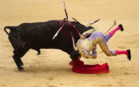Sports Bullfighting Hd Wallpaper