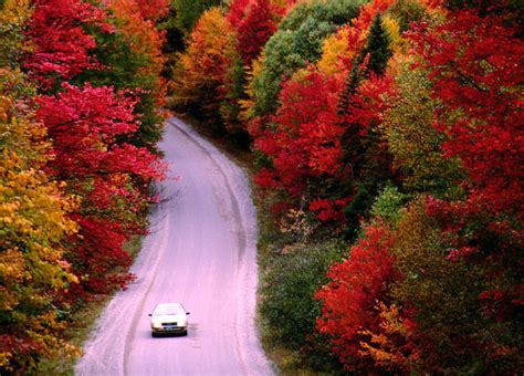 Fall Foliage Road Trips Tips All About Croatian Islands Travel