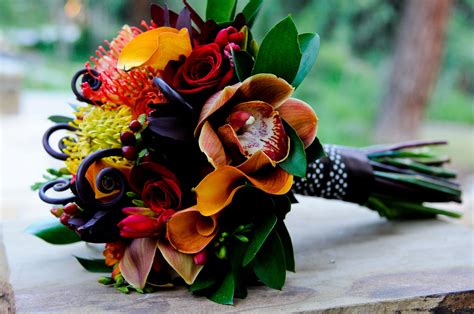 Orange wedding bouquets | martha stewart weddings. Orange Orchid and Fiddlehead Bouquet (With images ...