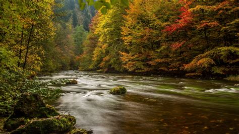 2560x1440 Resolution Harz Germany Autumn 1440p Resolution Wallpaper