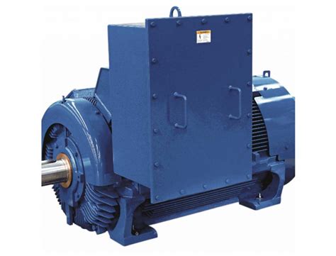 Those nine leads provide an option for supplying power from either high or low voltage sources. High Voltage Motors - Electrical | Davis & Spence