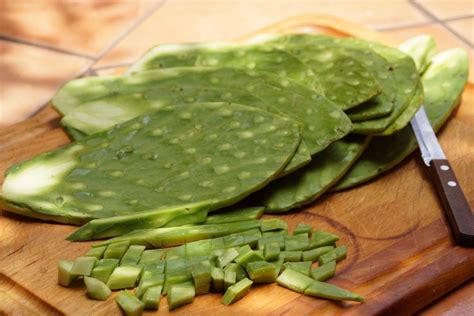 Can You Eat Cactus Pads How And When To Harvest Edible Cactus