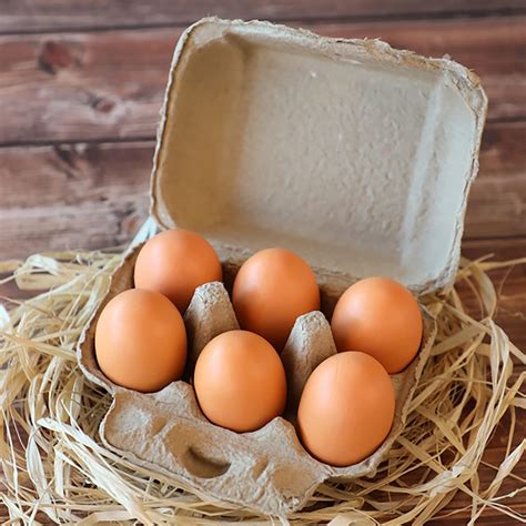 Buy Paper Egg Cartonsegg Carton Boxes 12 Dozen Reusable Egg Storage