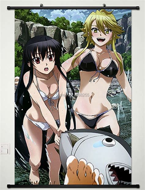 Buy Home Decor Anime Akame Ga Kill Wall Scroll Poster