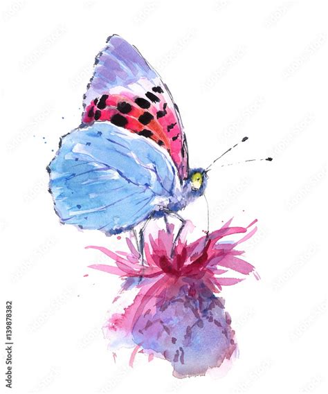 Watercolor Blue And Pink Butterfly Sitting On A Flower Hand Painted