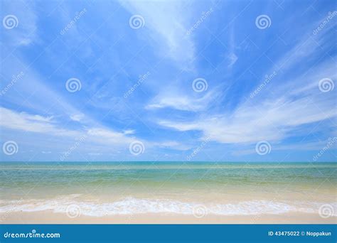 White Beach And Blue Sky Stock Photo Image Of Scenic 43475022
