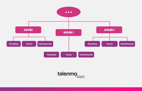 Organigrama De Una Empresa Tipos Ejemplos Y C Mo Hacerlo