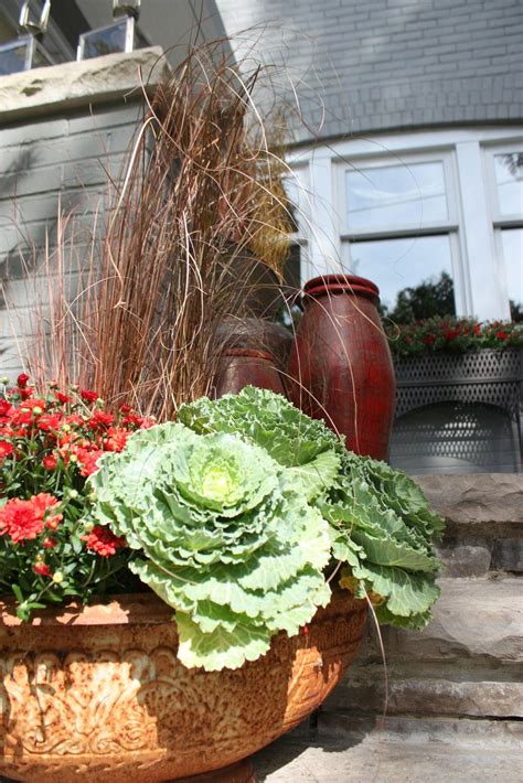Container Gardening Is A Great Way To Enhance Your Exterior Container