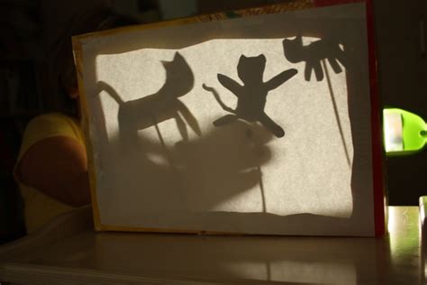 Easy Shadow Experiments And Activities For Kids Wehavekids