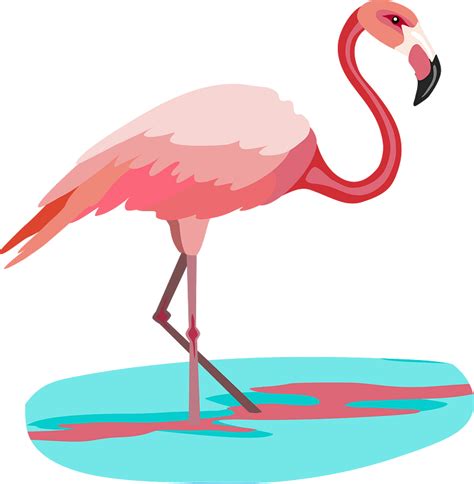 Flamingo Vector Clip Art