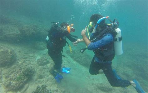 Grand Island Goa Scuba Diving Bat Island Diving Trip Instant Booking
