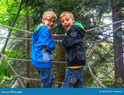 Boys Climb Tree Ropes Ladder Stock Image Image Of Belay Activity