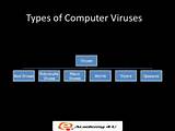 Images of Computer Virus Effects