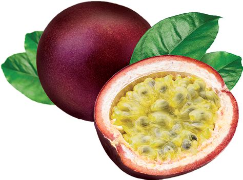 Download Passion Fruit Passion Fruit Png Png Image With No Background