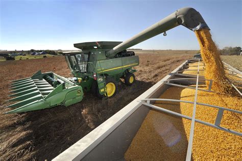 Grain Piling Up As Harvest Nears Completion