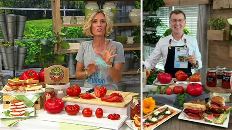 Roberta S 4 Piece Steakhouse Tomato Live Plants On Qvc Youtube
