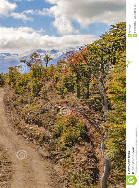 Patagonia Landscape Scene Aisen Chile Stock Photo Image Of Nature