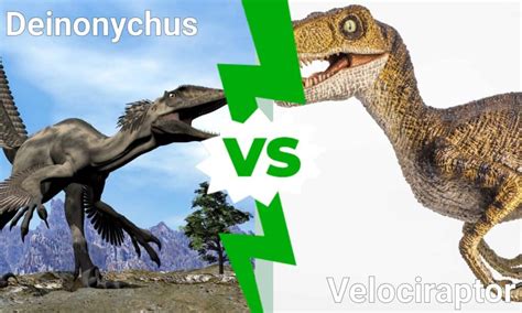 Deinonychus Vs Velociraptor ใครจะชนะในการต่อสู้ Newagepitbulls