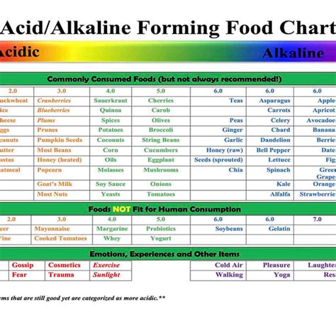 Acid Alkaline Forming Food Chart Dr Morse S Herbal Health Club