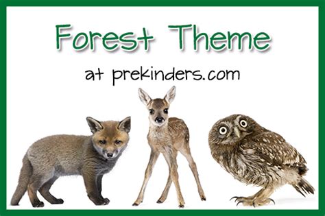 Forest Theme for Preschool - PreKinders