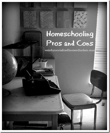 Homeschooling Pros And Cons Part 1 Weird Unsocialized