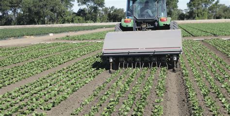 Weeding Robots Put Farms In Better Control Vegetable Growers News