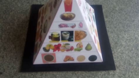Each section represents a specific food group and shows the recommended intake for each food group. Food Pyramid Model - 3D - YouTube