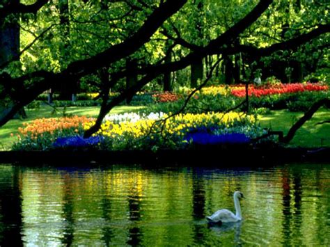Check out this fantastic collection of hd scenery wallpapers, with 63 hd scenery background images for your desktop, phone or tablet. 40+ Spring Scenery Wallpaper on WallpaperSafari