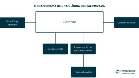 Organigrama de una clínica dental Enfoque Dental