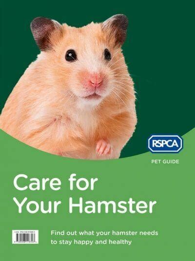 Rspca Pet Guide Care For Your Hamster Vet Ebooks