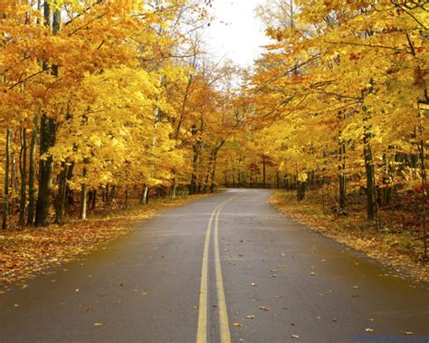 11 Reasons Fall Is The Best Time To Go Camping In Wisconsin