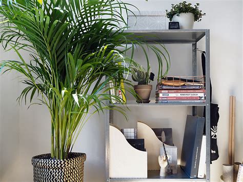 Check spelling or type a new query. Ikea Blumenleiter