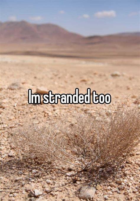 Im Stranded Too