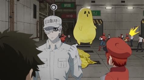 Cells At Work Highlights From All The Episodes Jmag News