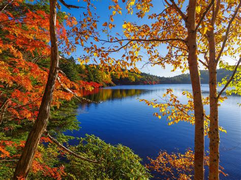 autumn,-lake,-trees,-forest,-sky-wallpaper-nature-and-landscape