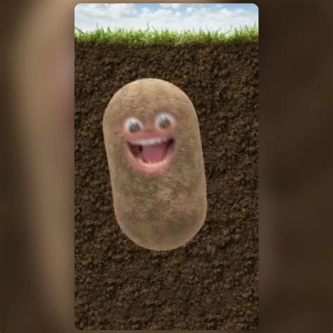 Potato Lens By Phil Walton Snapchat Lenses And Filters