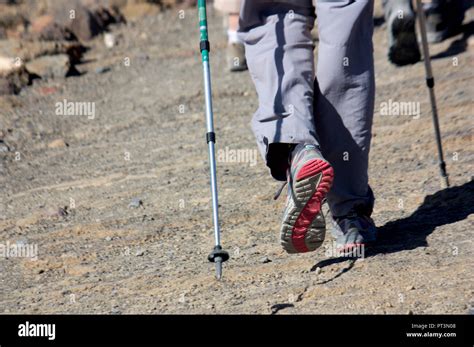Close Up Of The Legs Of A Hiker Prepared To Walk A Path In The Mountain