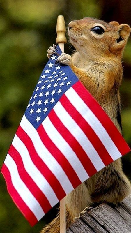 Patriotic Squirrel Happy 4th Of July Everyone I Love America God