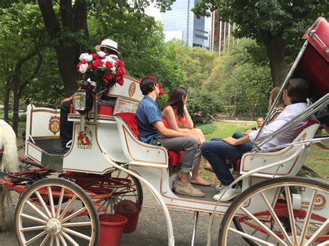 Horse And Carriage Tours In Central Park With Central Park Sightseeing