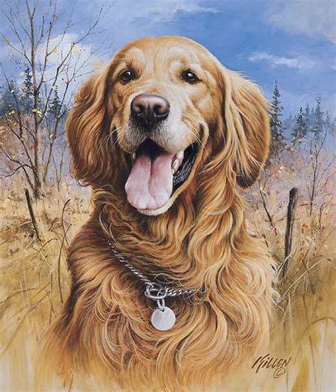 Detailed charcoal drawing of light golden retriever. Wildlife art prints plus original paintings with a wide ...