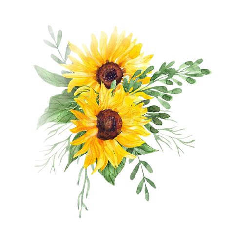 Watercolor Hand Painted Sunflowers Bouquet Stock Illustration