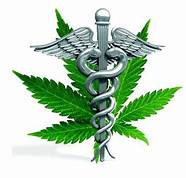 Cannabis For Lennox-Gastaut Syndrome Epilepsy Patients Th?id=OIP.3bUqrAKe2qnn_Za9QvWN1AHaHE&pid=15