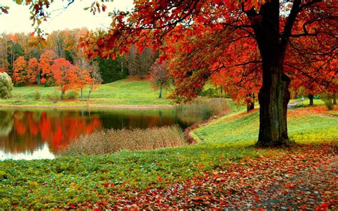 Autumn Pond Wallpapers Wallpaper Cave